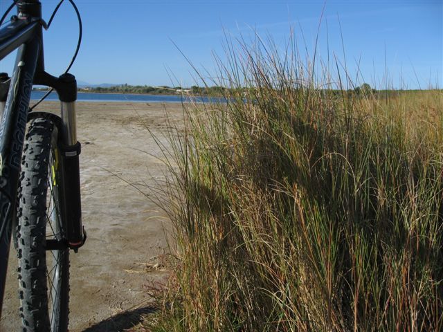 Etang de Mateille, gruissan