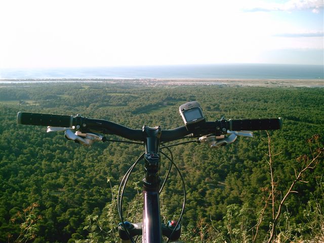 Digital Camera