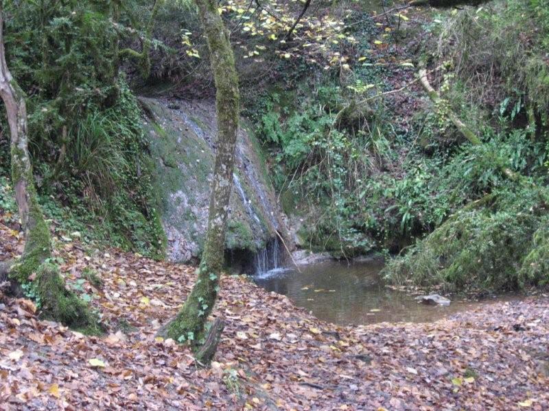 La fontaine