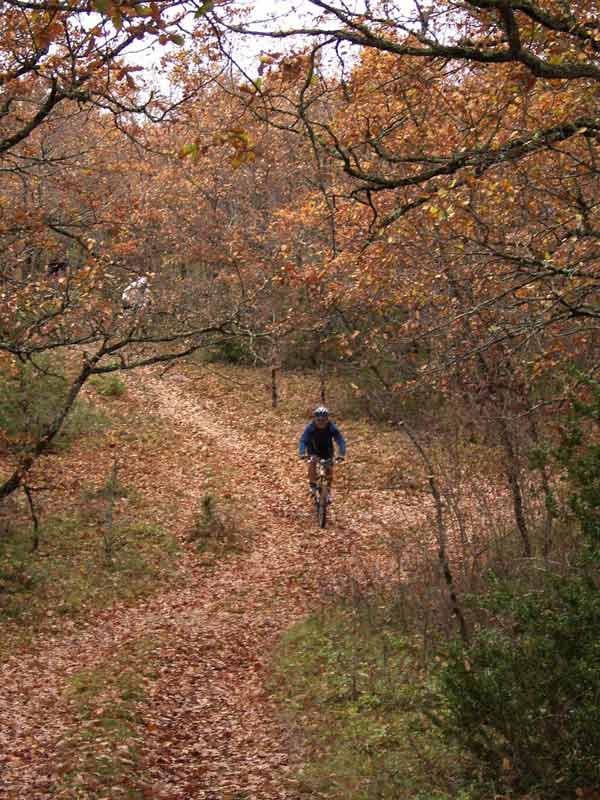 couleurs d'automne
