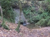 La fontaine