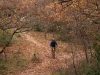 couleurs d'automne