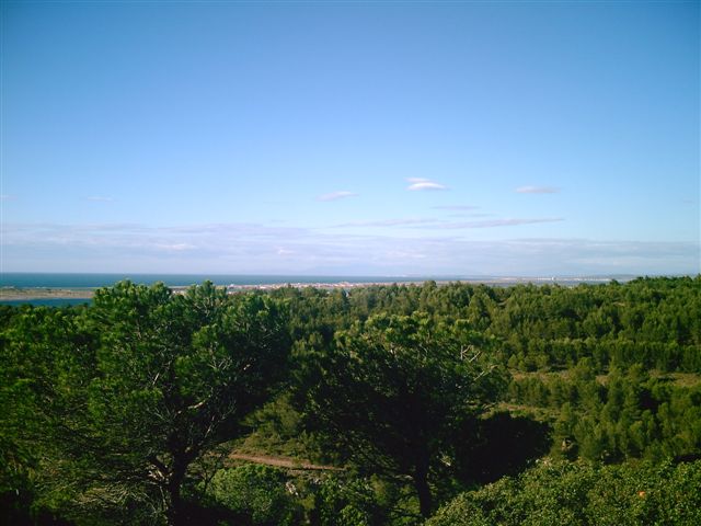 Digital Camera