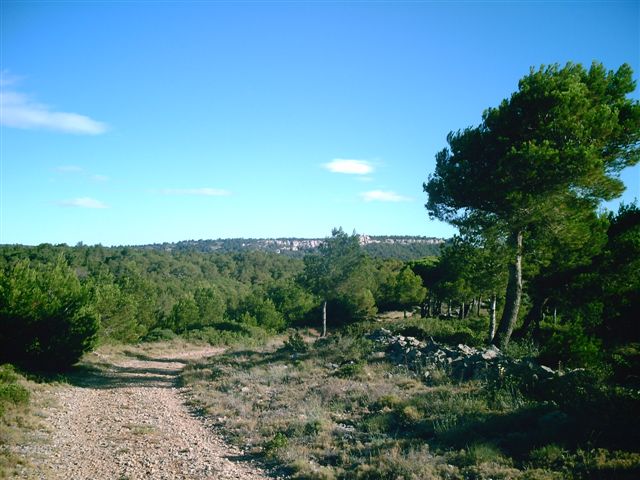 Digital Camera