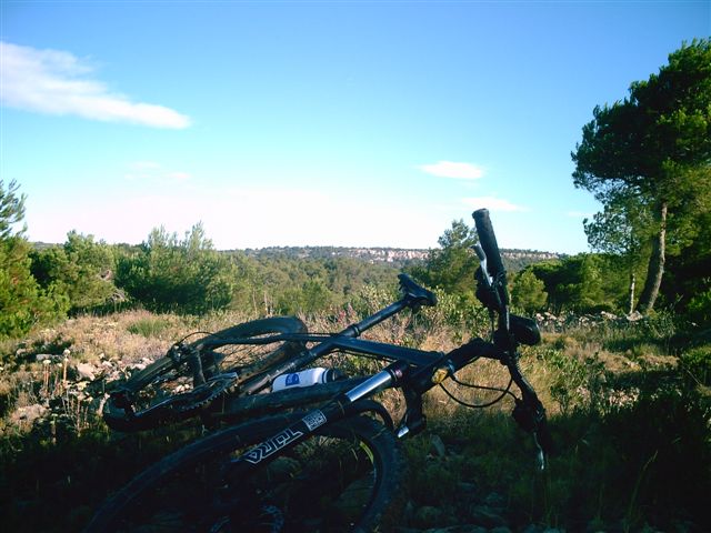 Digital Camera