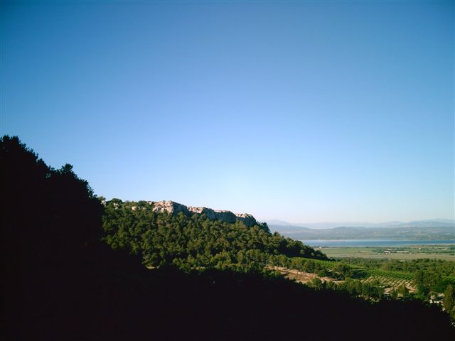 Digital Camera