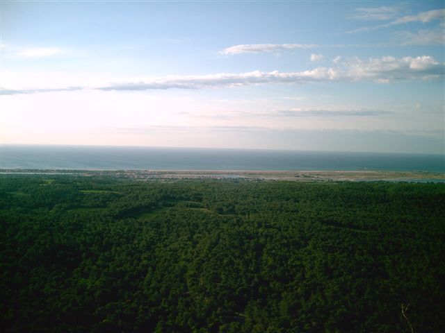 Digital Camera