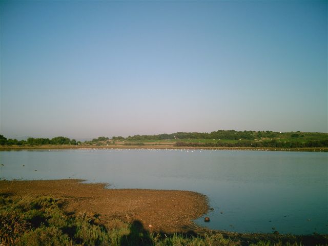 Digital Camera