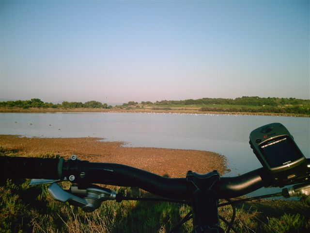 Digital Camera