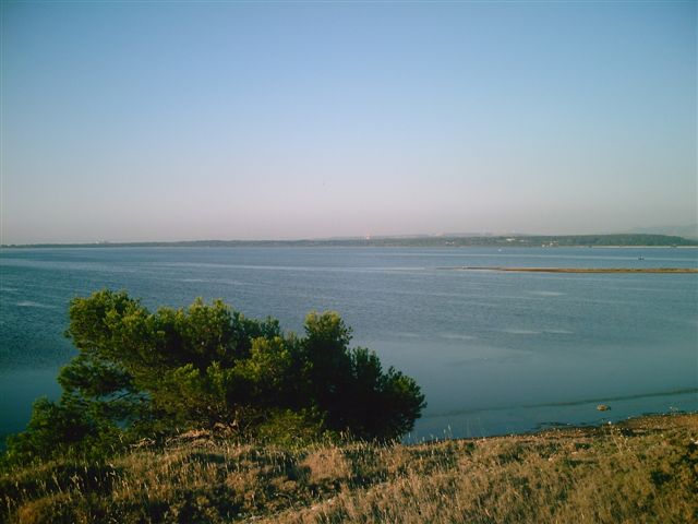 Digital Camera