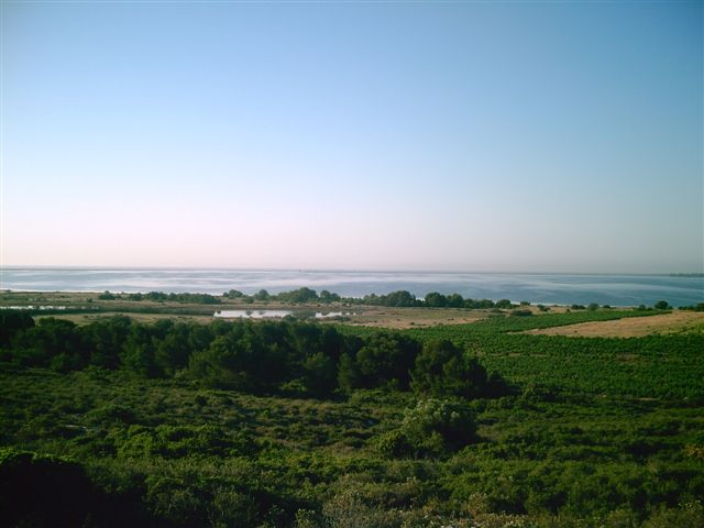 Digital Camera