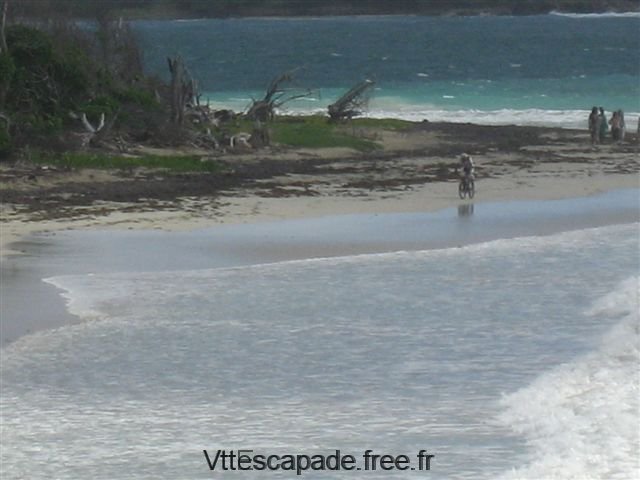 nestor de retour de la pêche