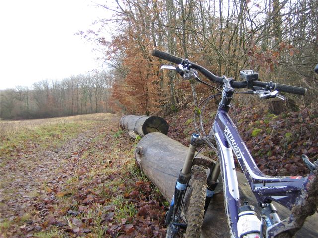 Couleur d'automne