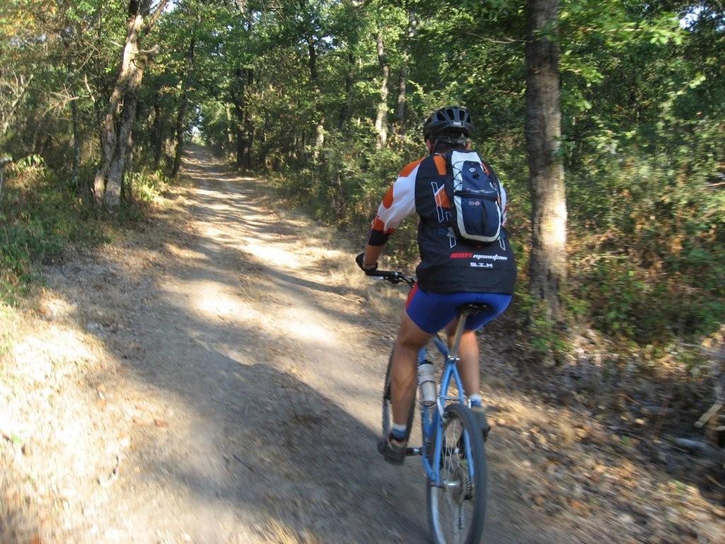 Forectière dans Bouconne