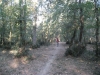 Piste sur Bouconne