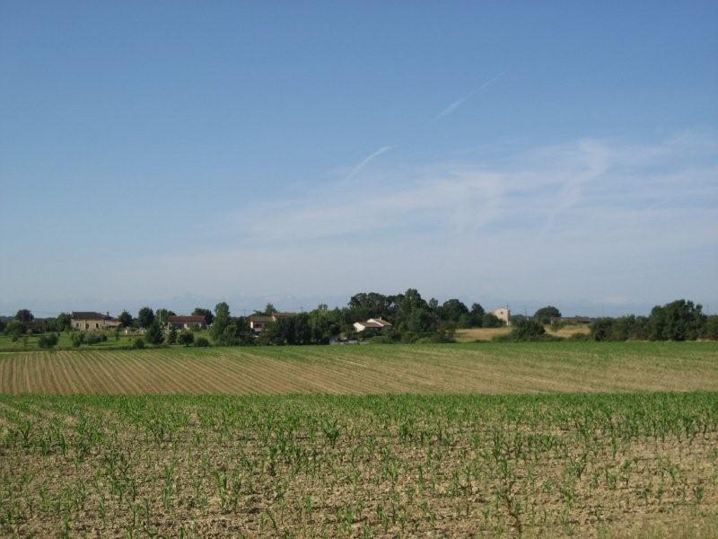 Dans les champs