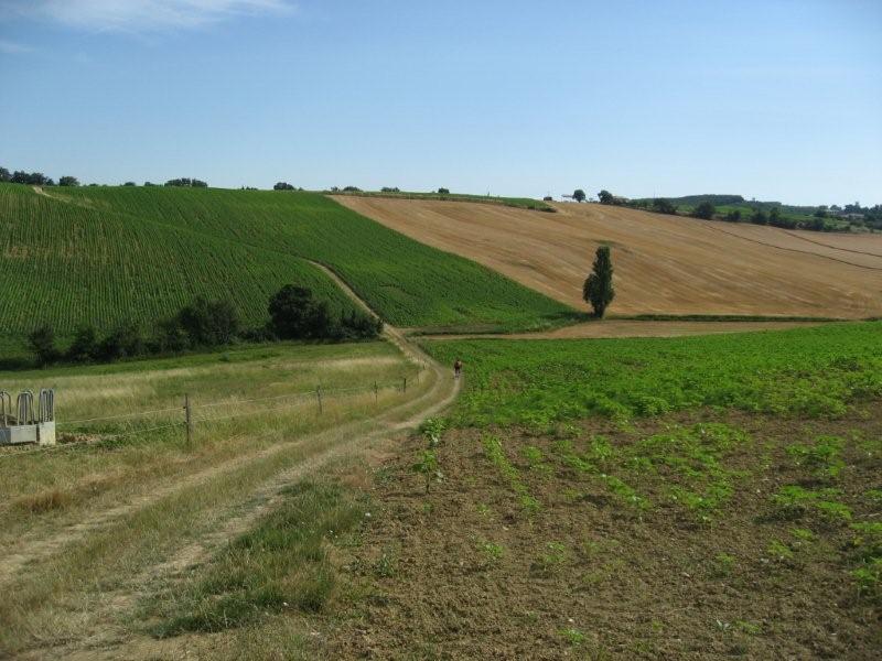 beuax sentiers montants