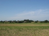 Dans les champs