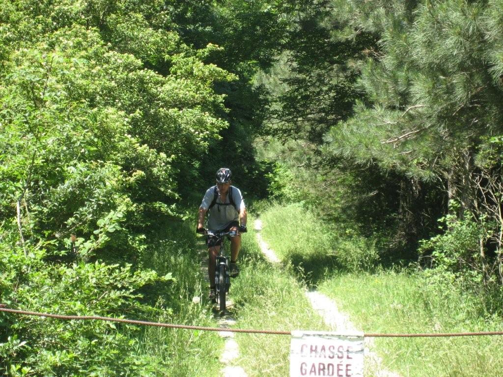 Attention aux chasseurs !