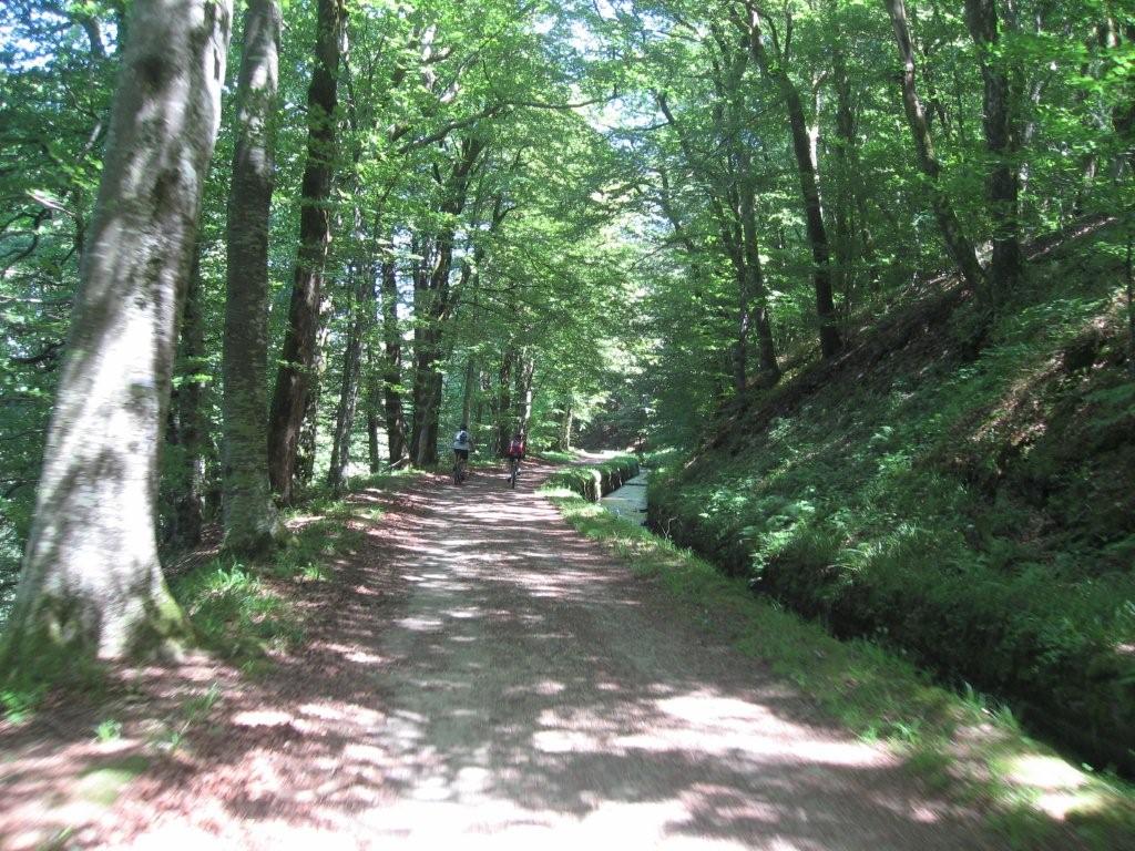 la rigole