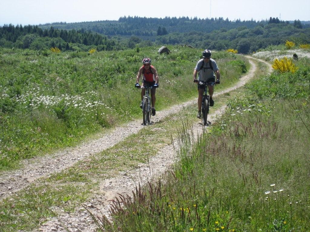 Les aspins sont déjà bien loin derriere