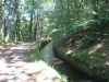 le long de la rigole