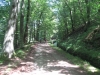 la rigole
