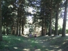 Exif_JPEG_PICTURE