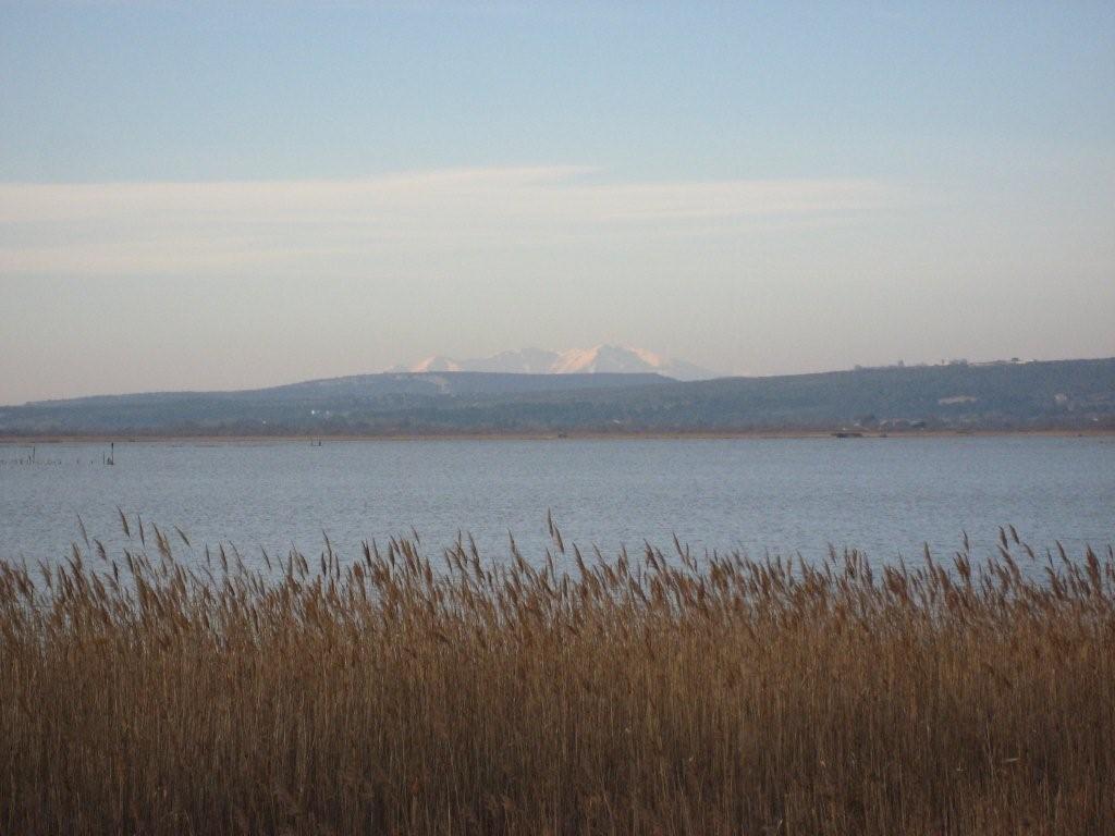 contraste étonnant entre étang, jonc et montagne ..