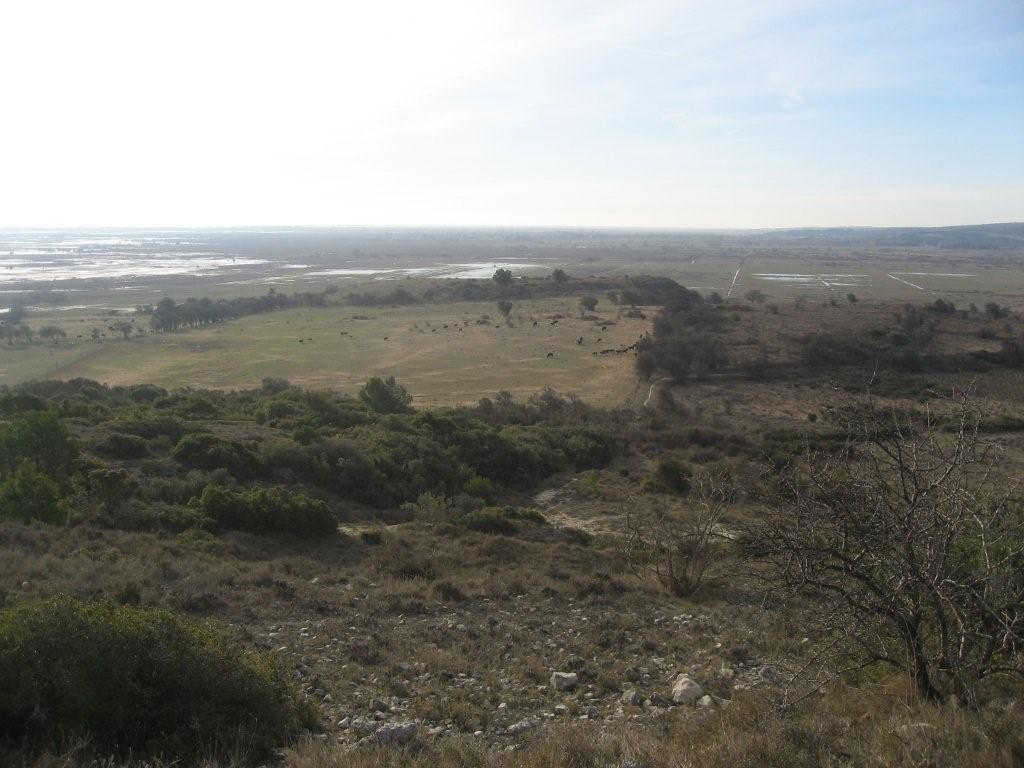 torreaux et marécages