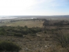 torreaux et marécages