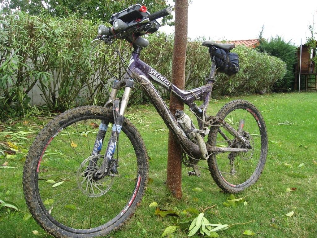 Un stump après la bataille