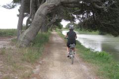 Ile Saint lucie avec Claire