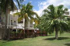 Madinina