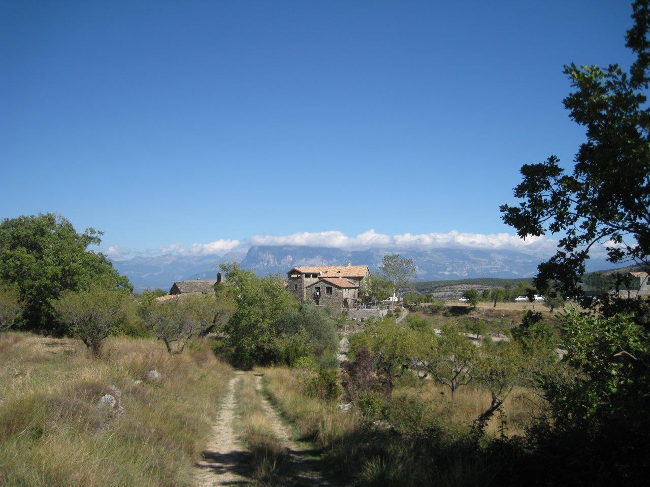 J3_IMG_3866