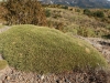 J1_IMG_1328