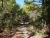 J2_IMG_1394