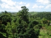 Campagne martiniquaise